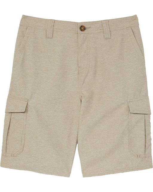 O'Neill Kids Ranger Cargo Shorts (Big Kids) | Lynks Shop