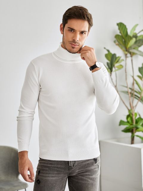 Manfinity Basics Men Solid Turtleneck Sweater